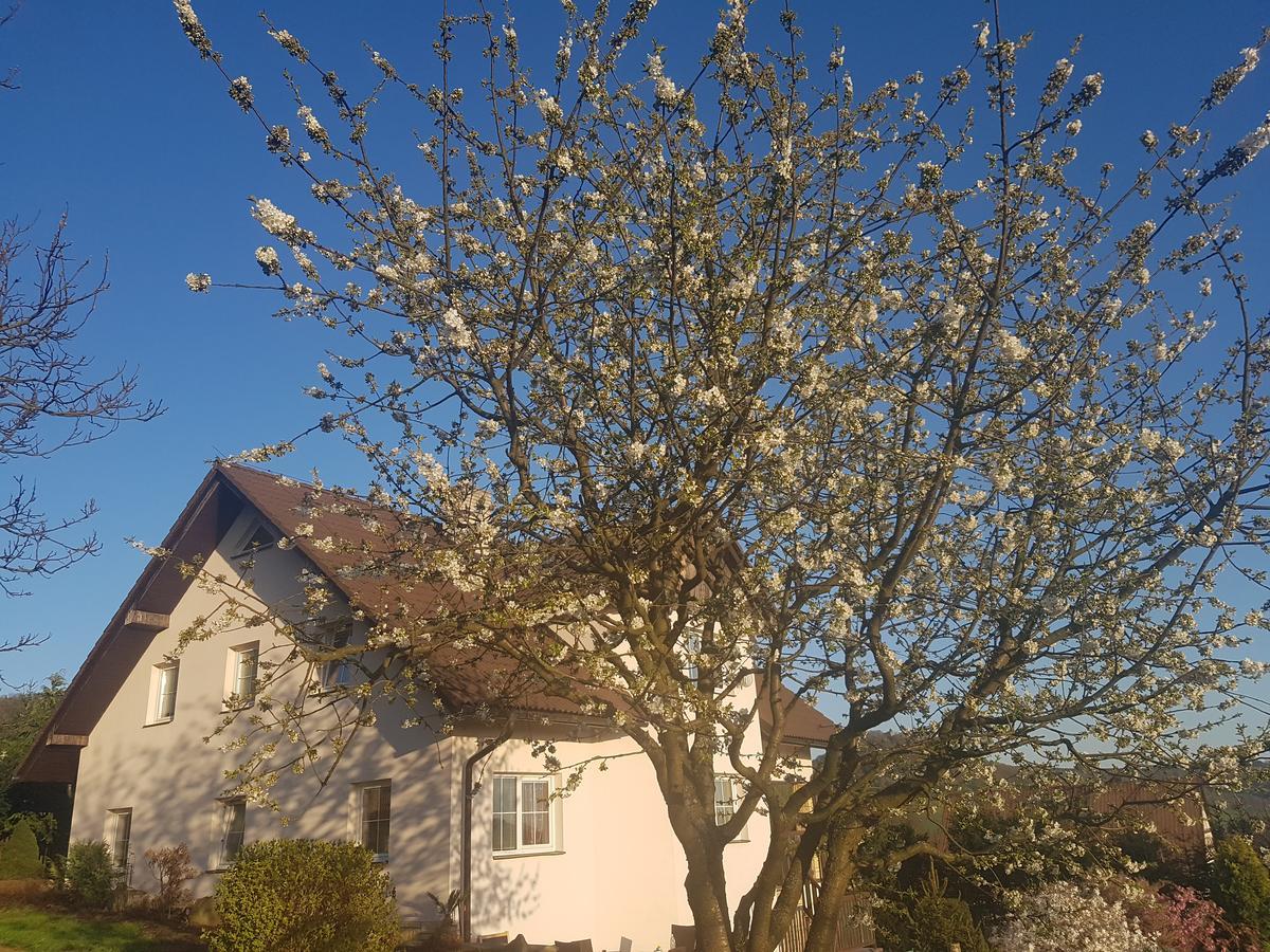 Vila Na Skalce Česká Kamenice Exteriör bild