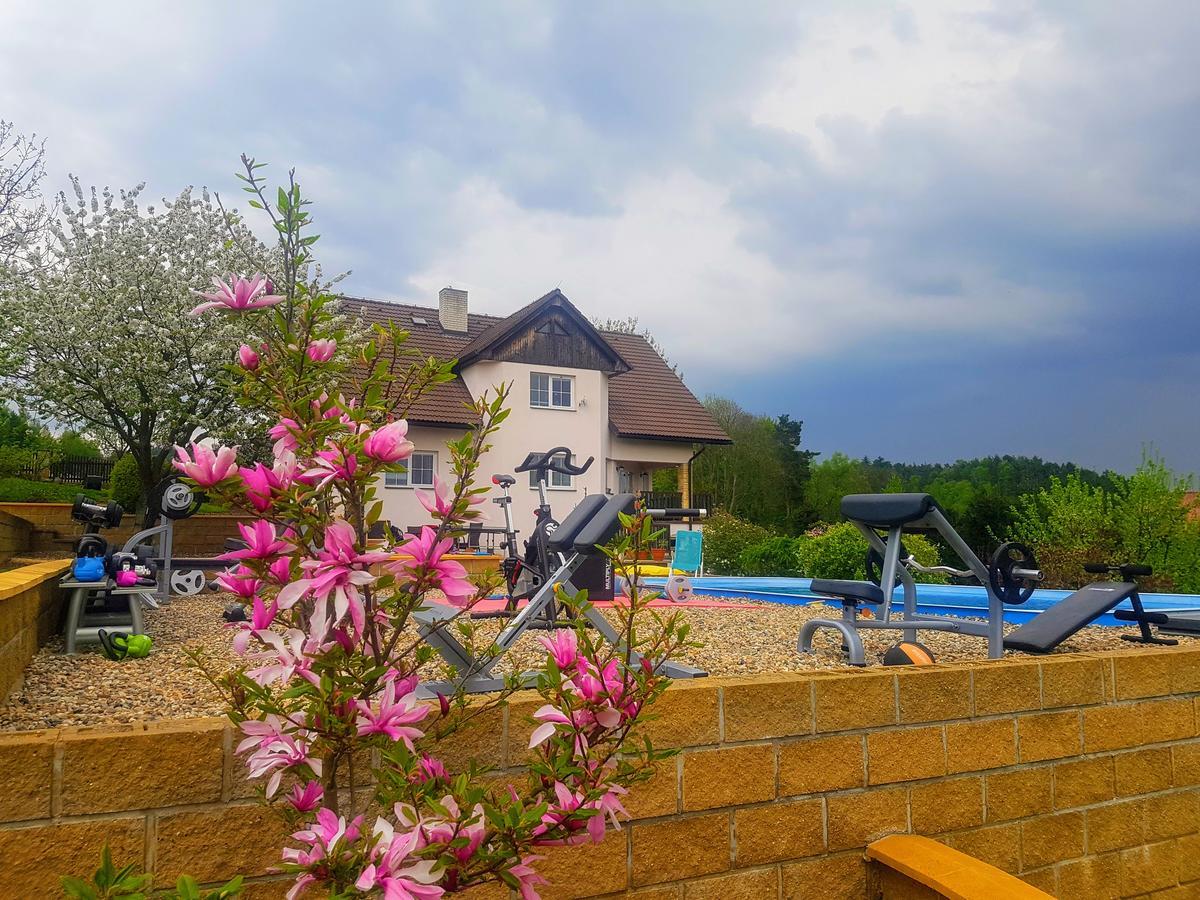 Vila Na Skalce Česká Kamenice Exteriör bild