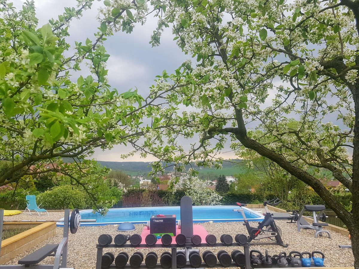 Vila Na Skalce Česká Kamenice Exteriör bild